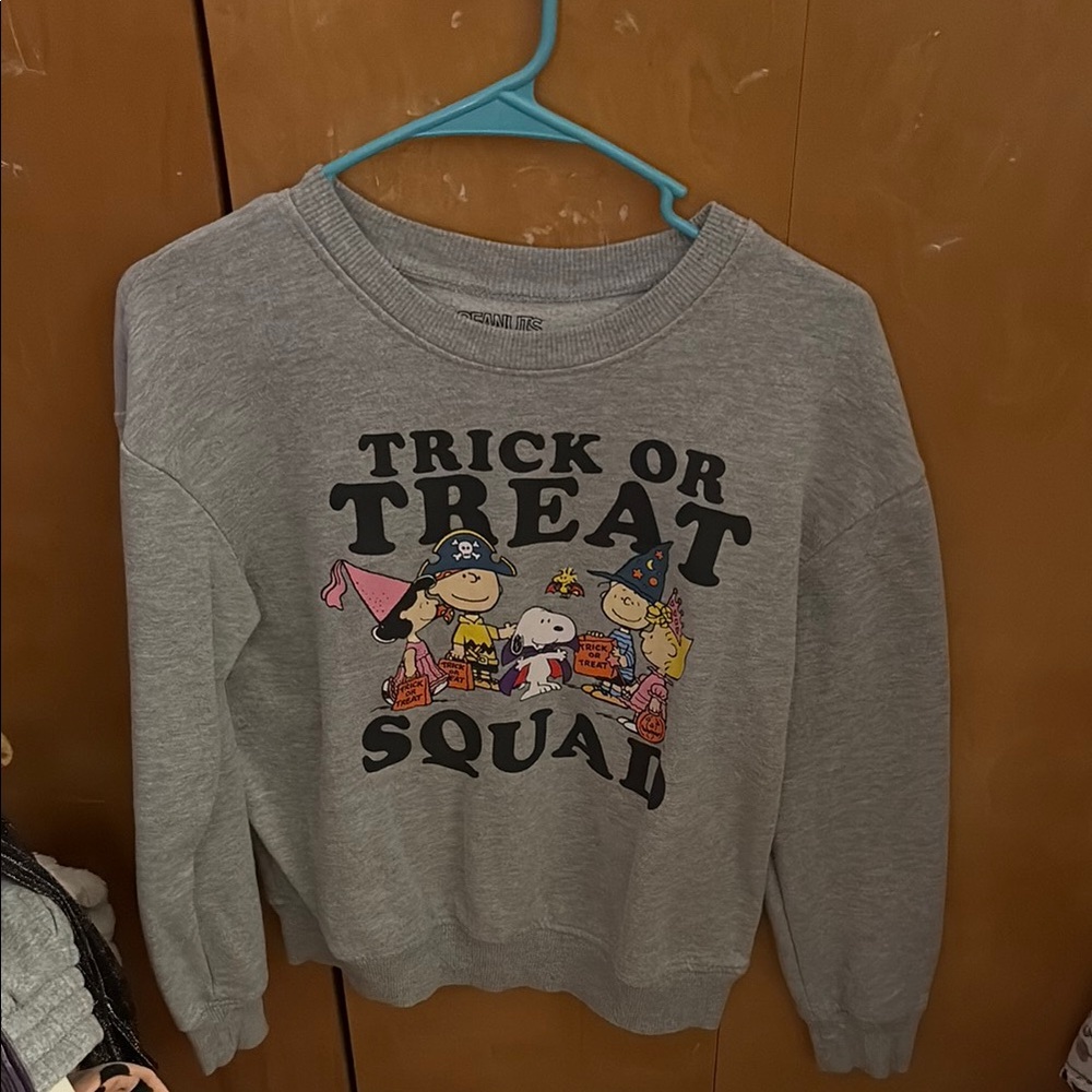 Peanuts Gray Trick or Treat Squad Sweatshirt